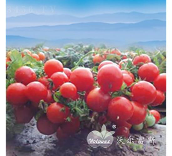 ����ؐؐF1����ժ���ã�-���ѷN��-�֠���˹