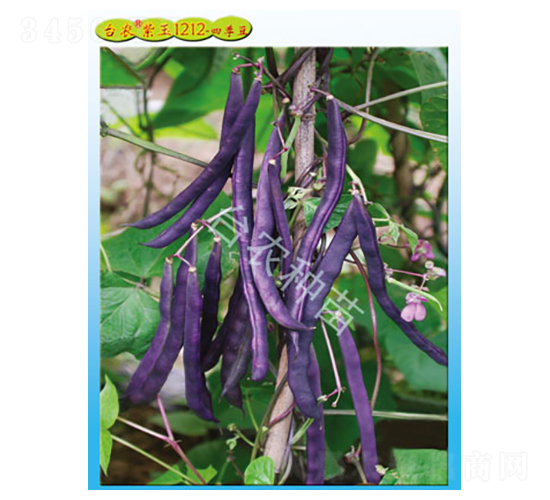 �_(t��i)�r(n��ng)����1212�ļ���-�ļ����N��-�_(t��i)�r(n��ng)�N��