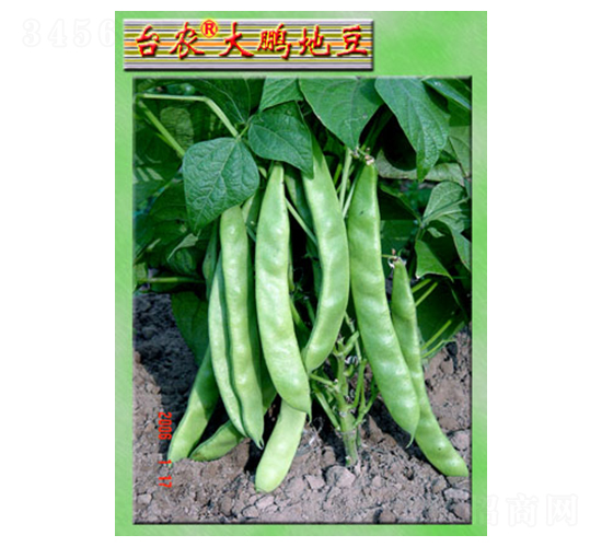 ���i�ض�-�ļ����N��-�_�r(n��ng)�N��