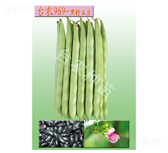 �_(t��i)�r(n��ng)969������-�ļ����N��-�_(t��i)�r(n��ng)�N��