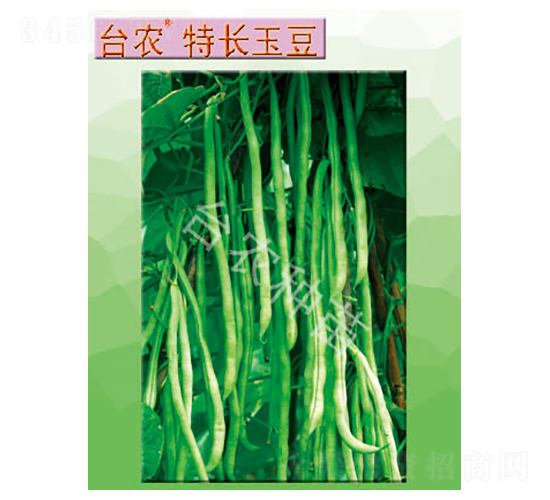 �_�r(n��ng)���L��-�ļ����N��-�_�r(n��ng)�N��