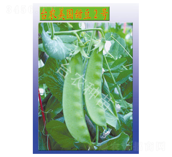 �_�r(n��ng)������2̖-�㶹�N��-�_�r(n��ng)�N��