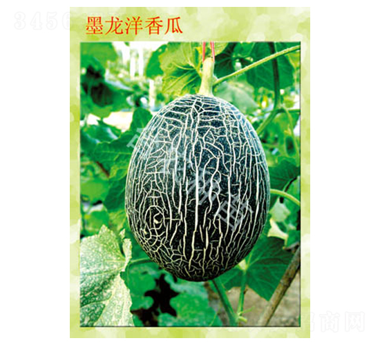 ī�������-��ϷN��-�_�r�N��