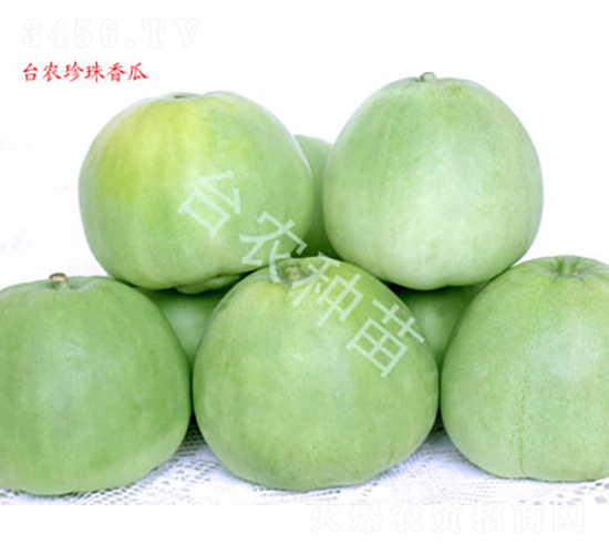 �������-��ϷN��-�_(t��i)�r(n��ng)�N��