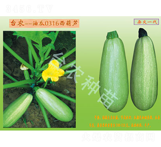 0316�����J-�����J�N��-�_�r(n��ng)�N��