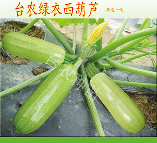 �_�r(n��ng)�G�������J-�����J�N��-�_�r(n��ng)�N��