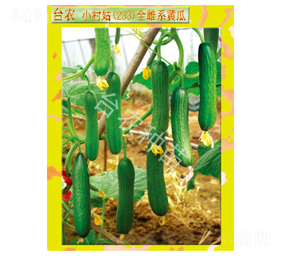 �_�r(n��ng)С���233ȫ���S��-�S�ϷN��-�_�r(n��ng)�N��