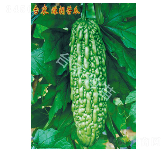 �G�ʿ��-��ϷN��-�_�r(n��ng)�N��