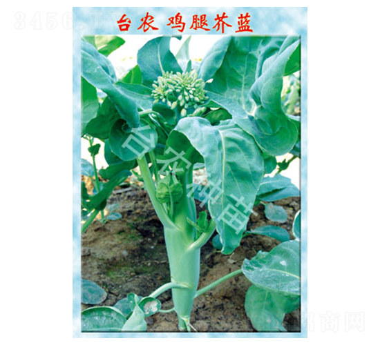 �u�Ƚ��{(l��n)-���{(l��n)�N��-�_(t��i)�r(n��ng)�N��