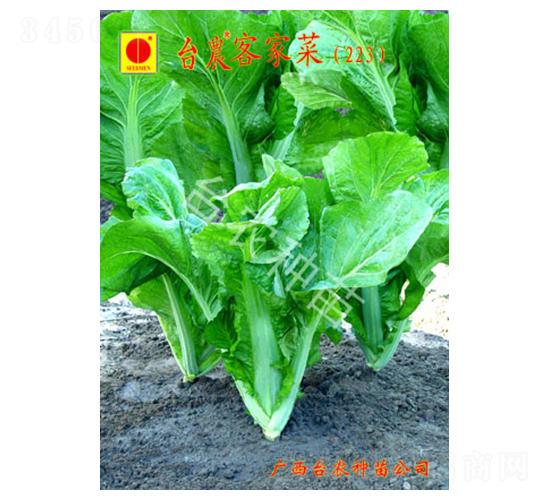 �_(t��i)�r(n��ng)�ͼҽ�-��˷N��-�_(t��i)�r(n��ng)�N��