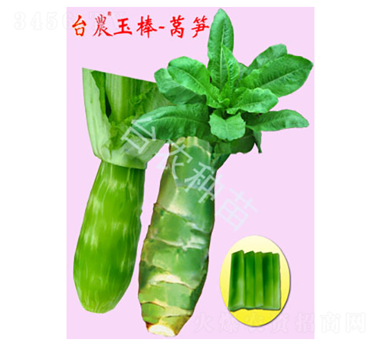 �_�r(n��ng)����n�S-�n�S�N��-�_�r(n��ng)�N��