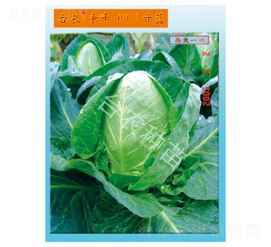 �_�r(n��ng)����0912���{(l��n)-���{(l��n)�N��-�_�r(n��ng)�N��