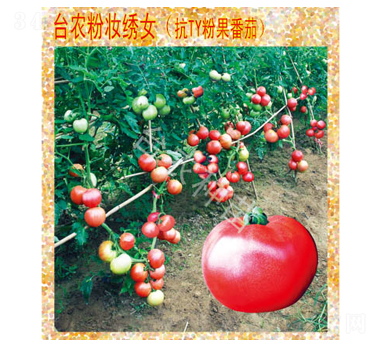 �ۊy�CŮ����-���ѷN��-�_�r(n��ng)�N��