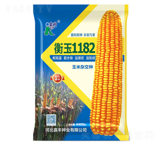 ����1182���׷N��-�ο�