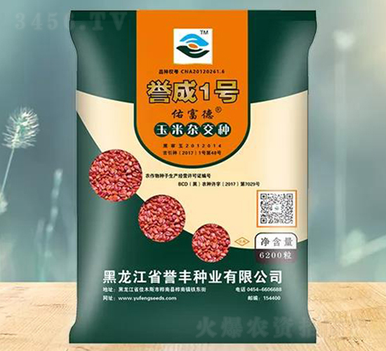 �u(y��)��1̖(h��o)�����s���N��-�u(y��)�S