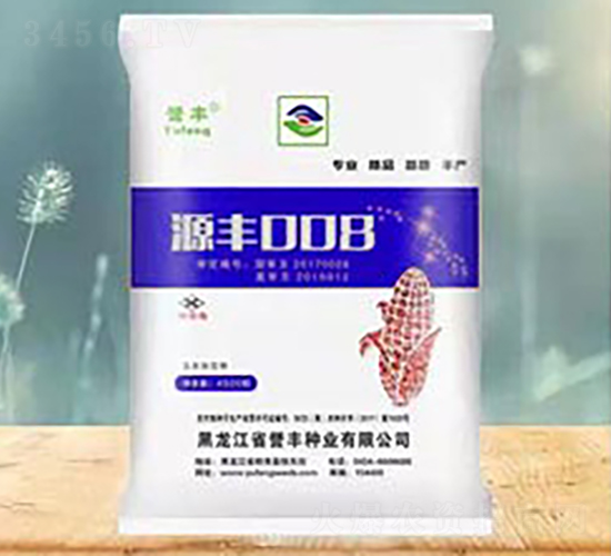 Դ�S008�����s���N��-�u�S