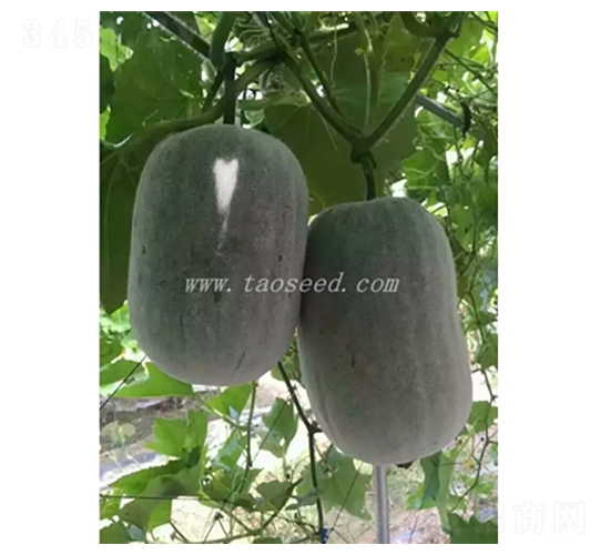 ����2̖(h��o)-��(ji��)�ϷN��-�𸣈@�r(n��ng)�I(y��)