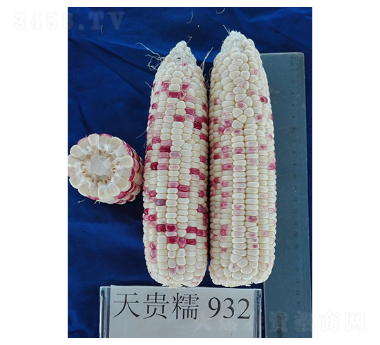 ���FŴ932-���׷N��-�𸣈@�r(n��ng)�I(y��)