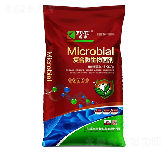 �ͺ�΢�������-���W