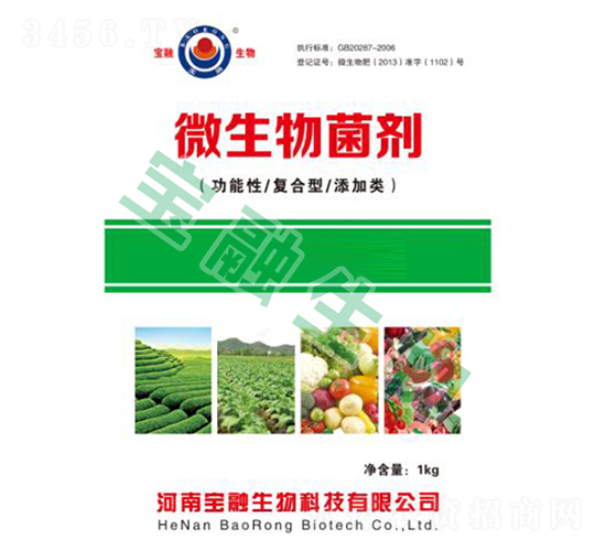 ΢������������������ͺ��͡������-��������