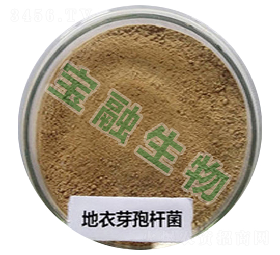 ����ѿ�ߗU��-��������