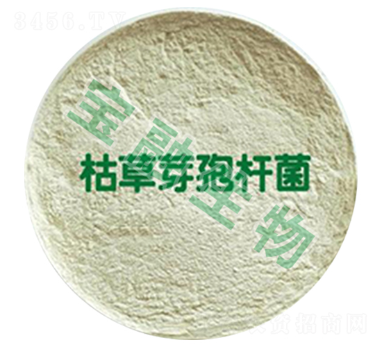 �ݲ�ѿ�ߗU��-��������