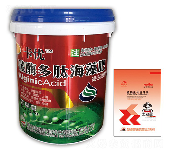 ����(y��u)��̼ø���ĺ����-����(y��u)-������(l��)-����˹