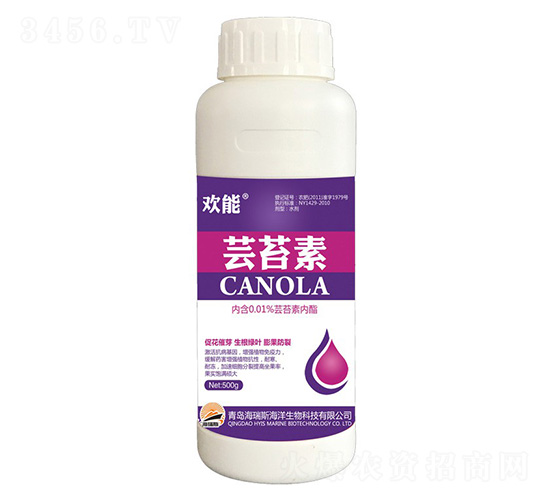 500g�g�ܡ��|̦��-����˹