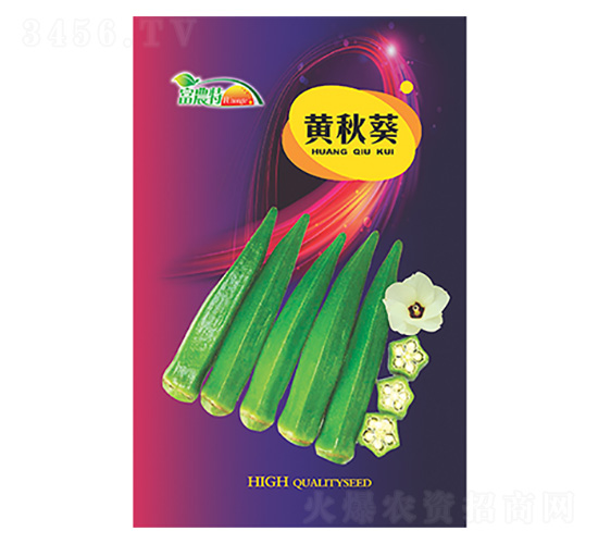 �S���-����