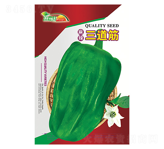 ����������-����