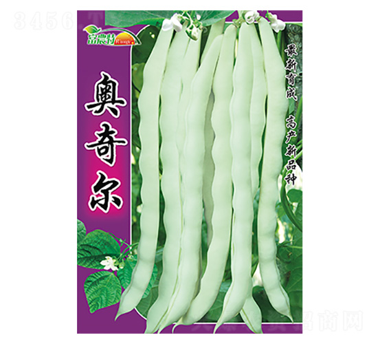 �|���N��-�W�栖-����