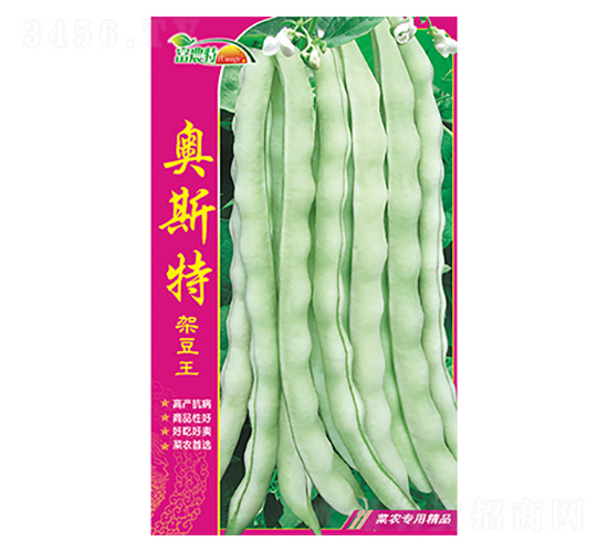 �ܶ���-�W˹��-����