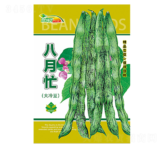 ����æ�����䶹��-����