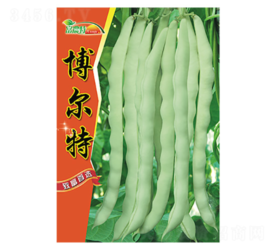 �|���N��-������-����