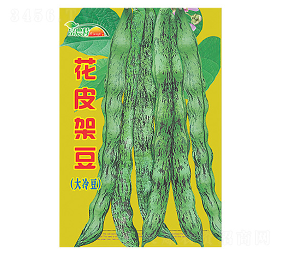 ��Ƥ�ܶ��������䶹��-����