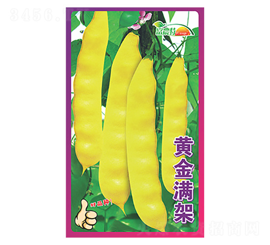 �|���N��-�S��M��-����