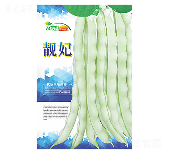 ���ǷN��-�n��-����