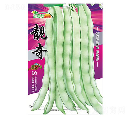 ���ǷN��-�n��-����