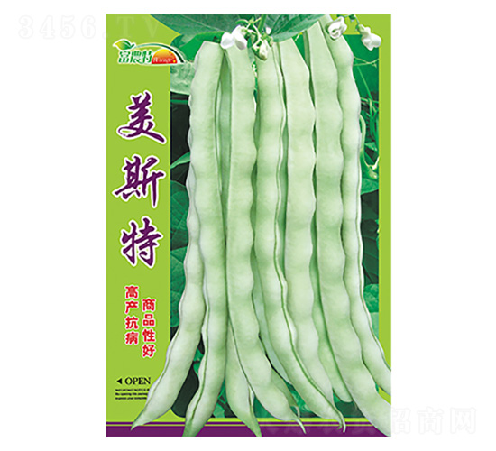 ���ǷN��-��˹��-����