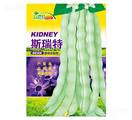 ���ǷN��-˹����-����