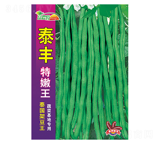 ̩���ܶ���-̩�S������-����