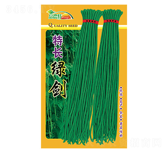 ���ǷN��-���L�G��-����