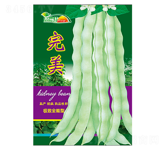 ���ǷN��-����-����