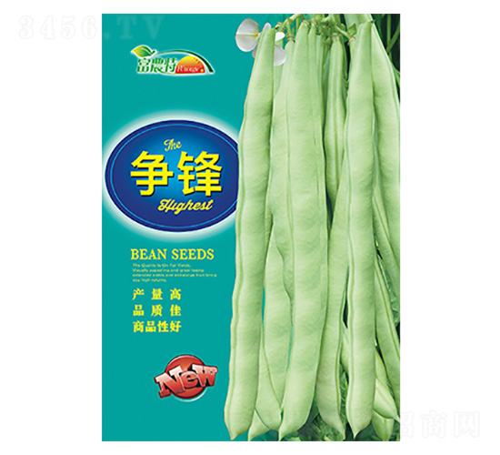 ���ǷN��-���h-����