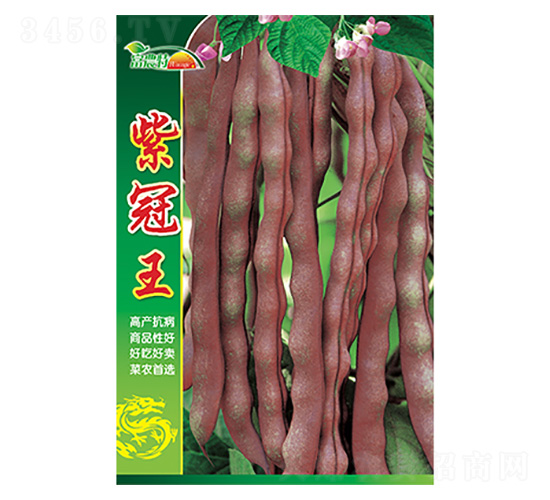 ���ǷN��-�Ϲ���-����