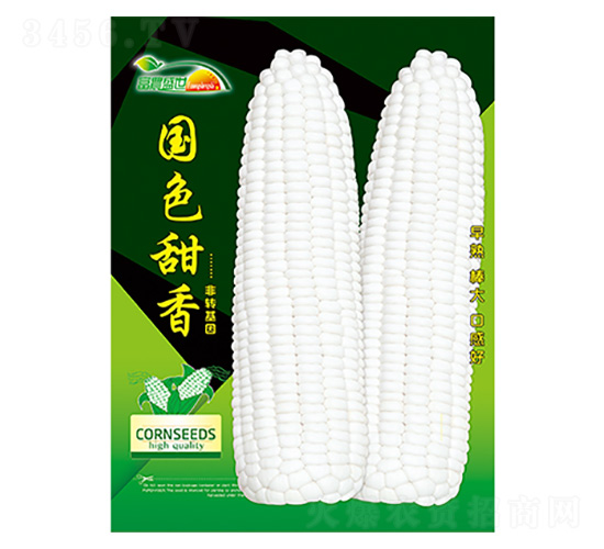 ���׷N��-��ɫ����-����