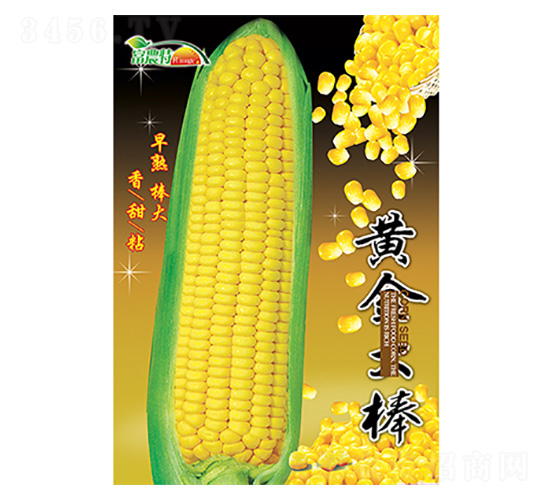 ���׷N��-�S����-����