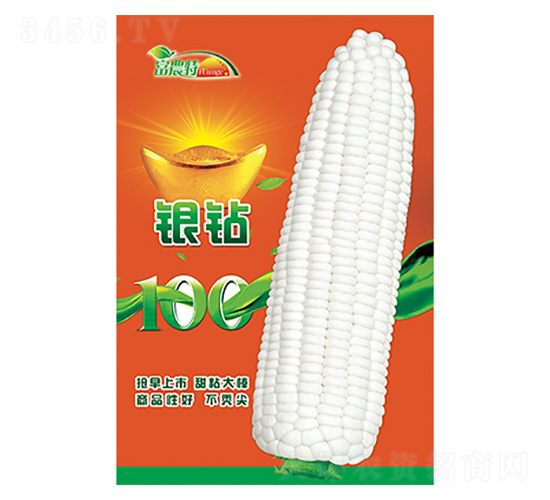 ���׷N��-�y�@-����