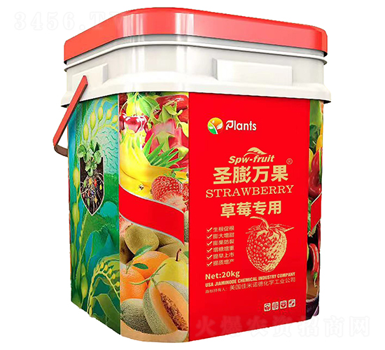 ��ݮ���Û_ʩ��-ʥ���f��-����Ԫ��