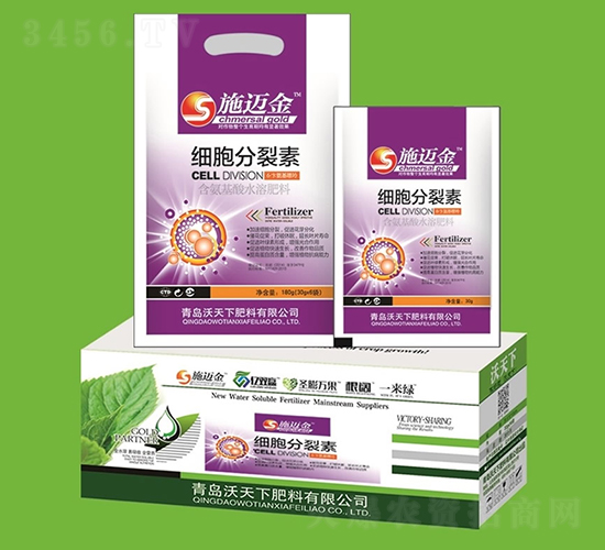 ��(x��)��������-ʩ�~��-������